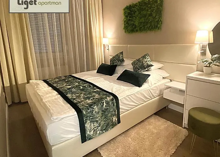 Апартаменты Liget *